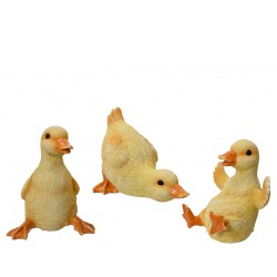 Canneton Jaune En...