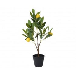 Citronnier En Pot Jaune En...