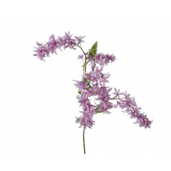 Tige De Fleurette...