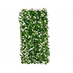 Cloture De Lierre Vert En...