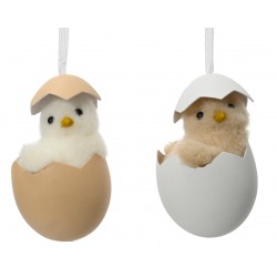 Poussin Dans Oeuf À...