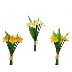 Bouquet De Narcisses En...