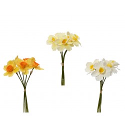 Bouquet De Narcisses En...