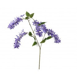 Tige De Fleurette...