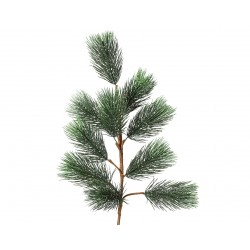 Branche De Sapin Vert En...