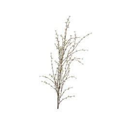 Tige De Forsythia Blanc En...