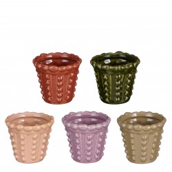 Cache-Pot Dalio...