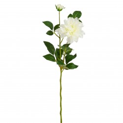 Tige De Dahlia Crème En...