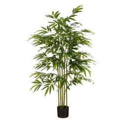 Bambou En Pot Waterproof/Uv...