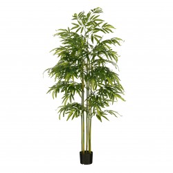 Bambou En Pot Waterproof/Uv...