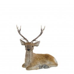 Cerf Duveteux Couché Brun...