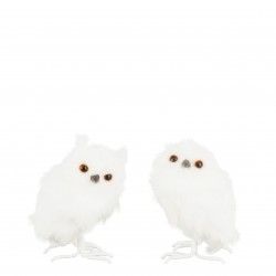 Hibou Plume Blanc En...