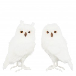 Hibou Plume Blanc En...