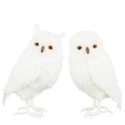 Hibou Fourrure Blanc En...