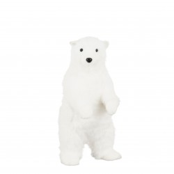 Ours Blanc Debout Blanc En...