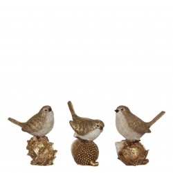 Oiseau Sur Gland Or En...