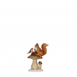 Ecureuil/Oiseau Sur...