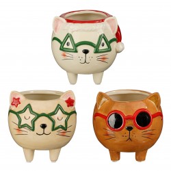 Cache-Pot Chat Funny...