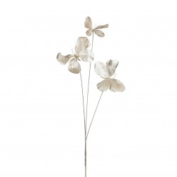 Tige De Papillon Champagne...