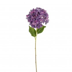 Tige D'Hortensia Violet En...