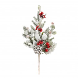 Tige De Baie+Sapin Belfort...