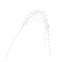 Tige De Ceropegia Blanc En...