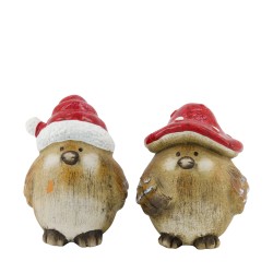 Oiseau Bonnet De Père Noël...