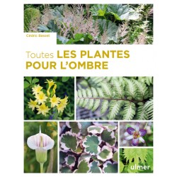 Livre - Toutes Les Plantes...