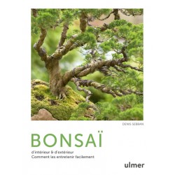 Livre - Bonsaïs-ULMER