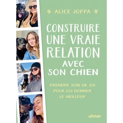 Livre - Construire Une...