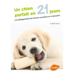 Livre - Un Chien Parfait En...