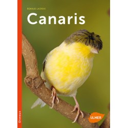 Livre - Canaris-ULMER
