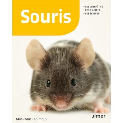Livre - Souris -Mini...