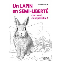 Livre - Un Lapin En...