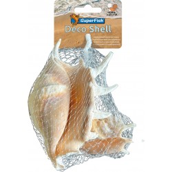 SUPERFISH DÉCO SHELL...
