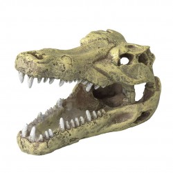 TETE DE CROCODILE S 13.5CM...