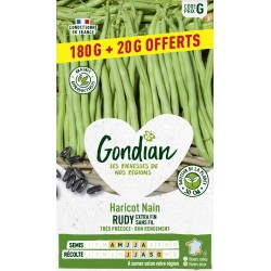 GONDIAN 180+20G...