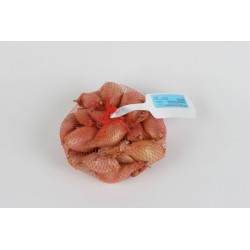ÉCHALOTE Rose type poire...