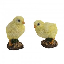 Poussins -Vendu À...