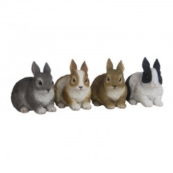 Lapin Nain-Vendu À...