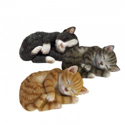 Chat Dormant -Vendu À...