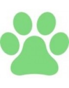 Accessoires Patisseries