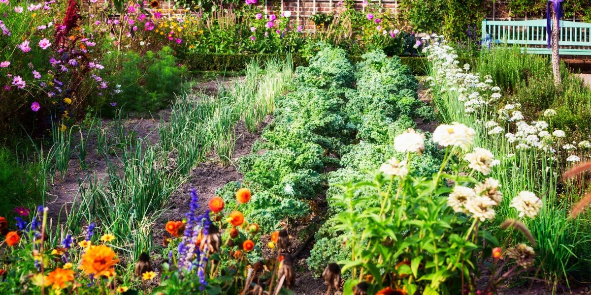 Massifs et légumes
