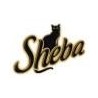 SHEBA