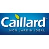 CAILLARD