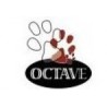 OCTAVE